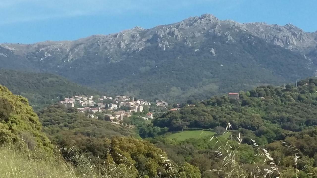 Corsica Monti Gite Appart Petreto-Bicchisano Ngoại thất bức ảnh